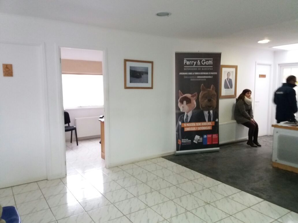 WhatsApp Image 2017-08-30 at 8.53.53 AM (1).jpeg