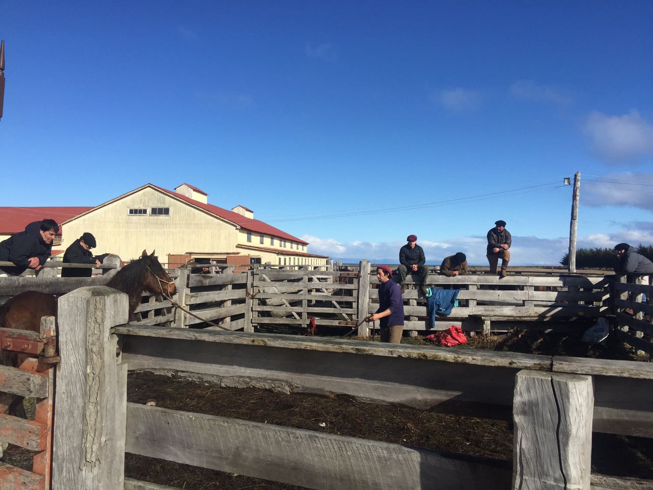 WhatsApp Image 2017-09-04 at 11.24.12 AM.jpeg