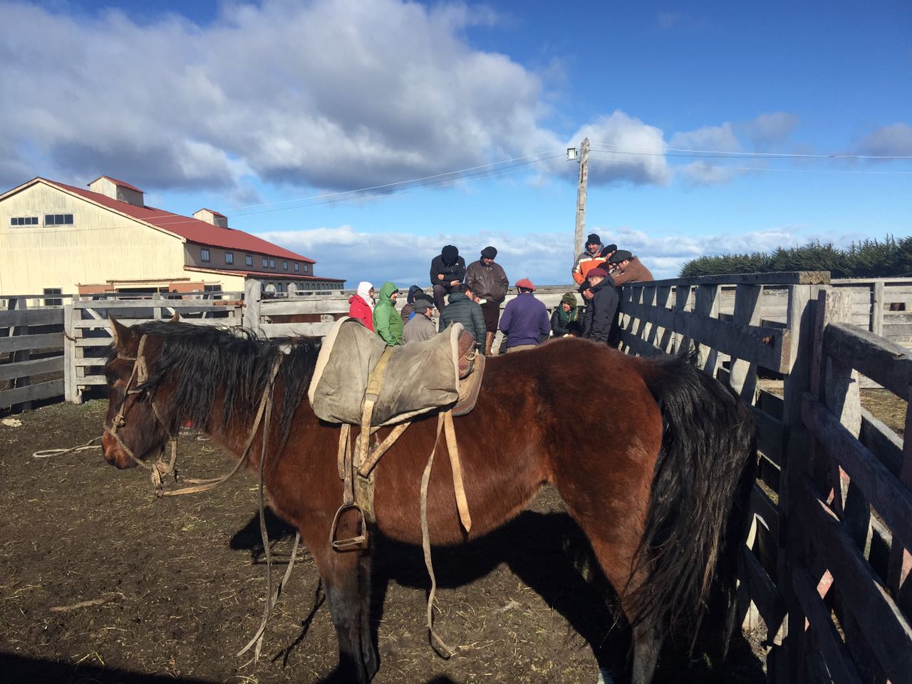 WhatsApp Image 2017-09-04 at 11.24.17 AM.jpeg