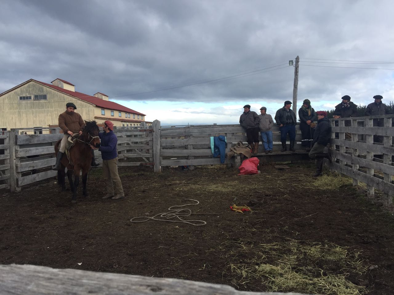 WhatsApp Image 2017-09-04 at 11.24.20 AM.jpeg