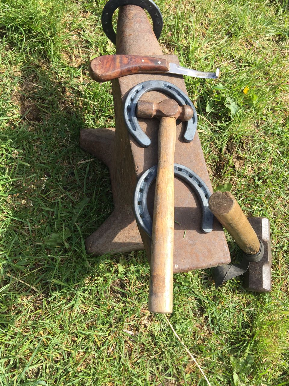 WhatsApp Image 2017-11-13 at 10.54.47 AM.jpeg