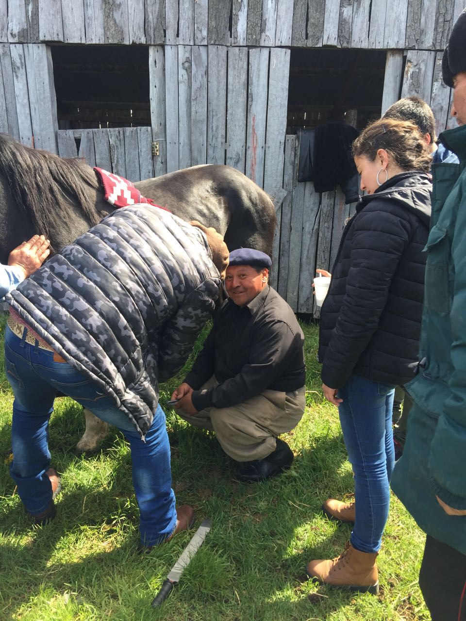 WhatsApp Image 2017-11-13 at 10.54.48 AM.jpeg