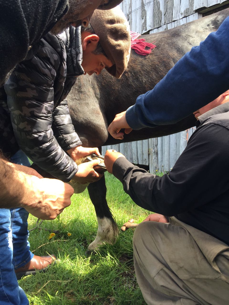 WhatsApp Image 2017-11-13 at 10.54.49 AM (1).jpeg