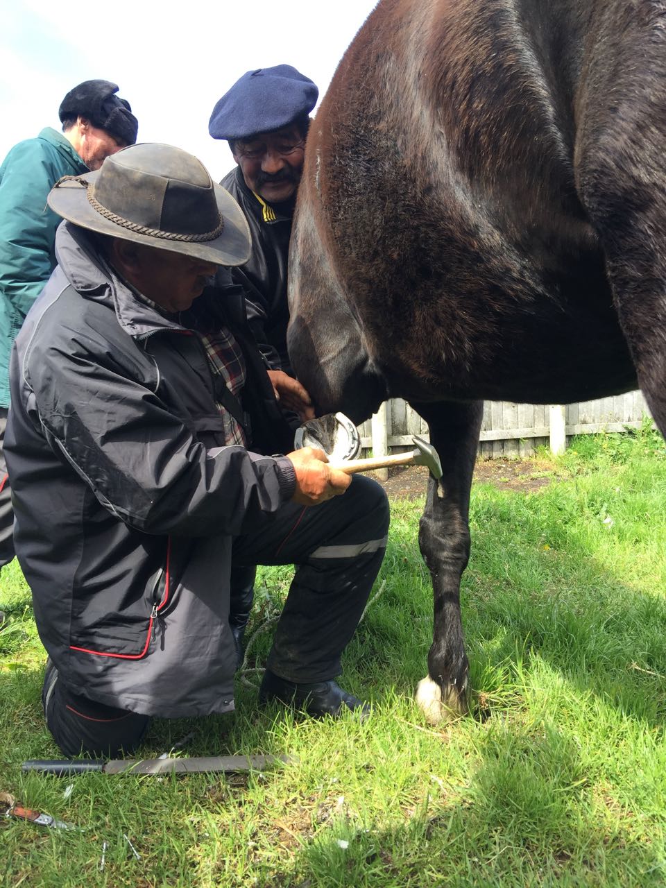 WhatsApp Image 2017-11-13 at 10.54.49 AM.jpeg