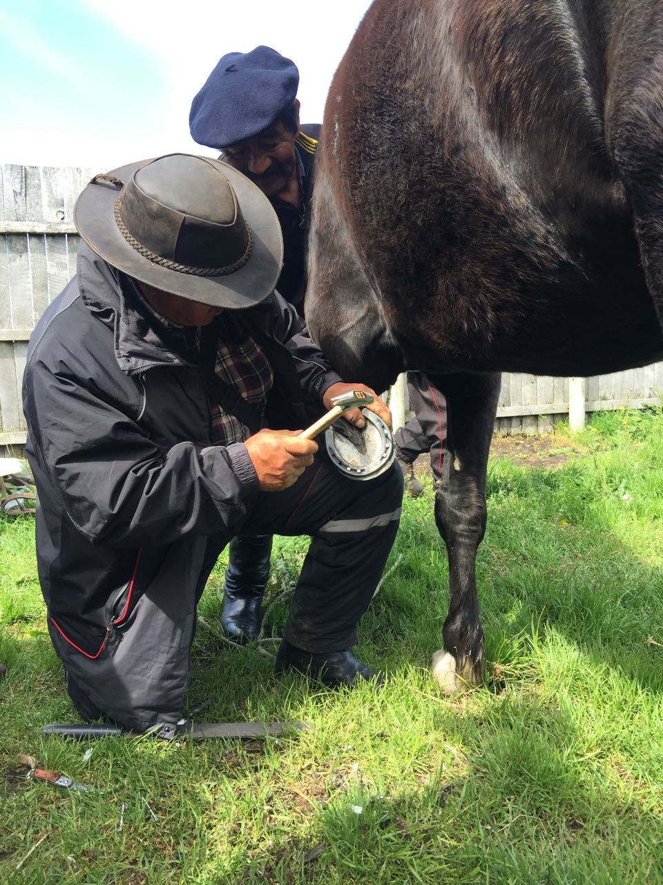 WhatsApp Image 2017-11-13 at 10.54.50 AM.jpeg