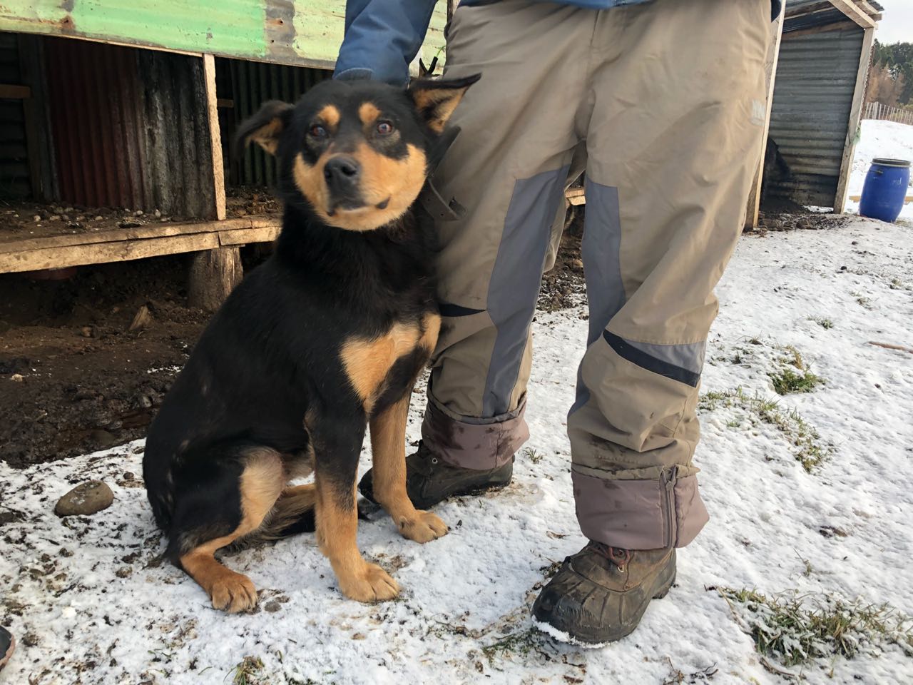 WhatsApp Image 2018-07-26 at 12.45.47 PM(1).jpeg