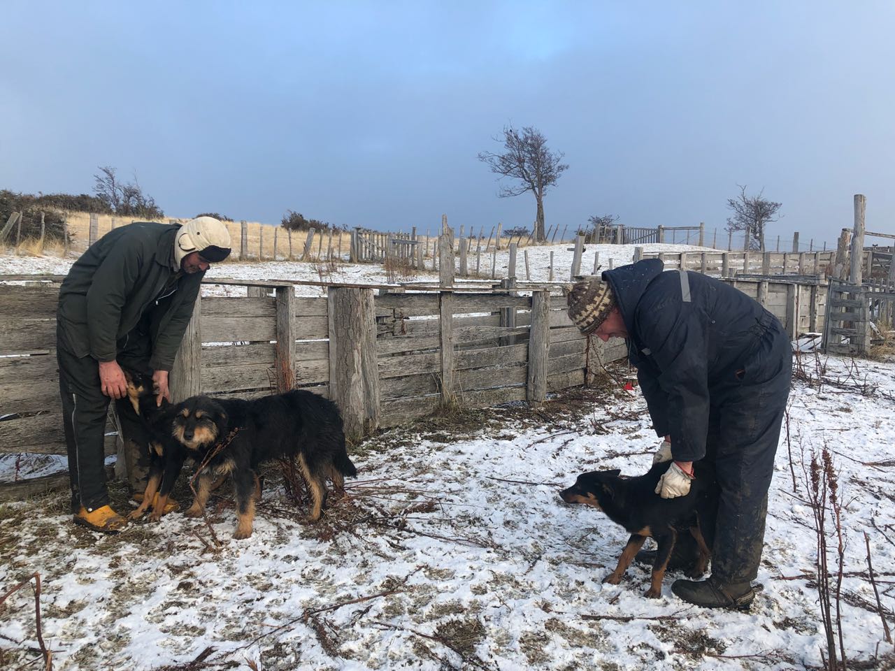 WhatsApp Image 2018-07-26 at 12.45.48 PM.jpeg