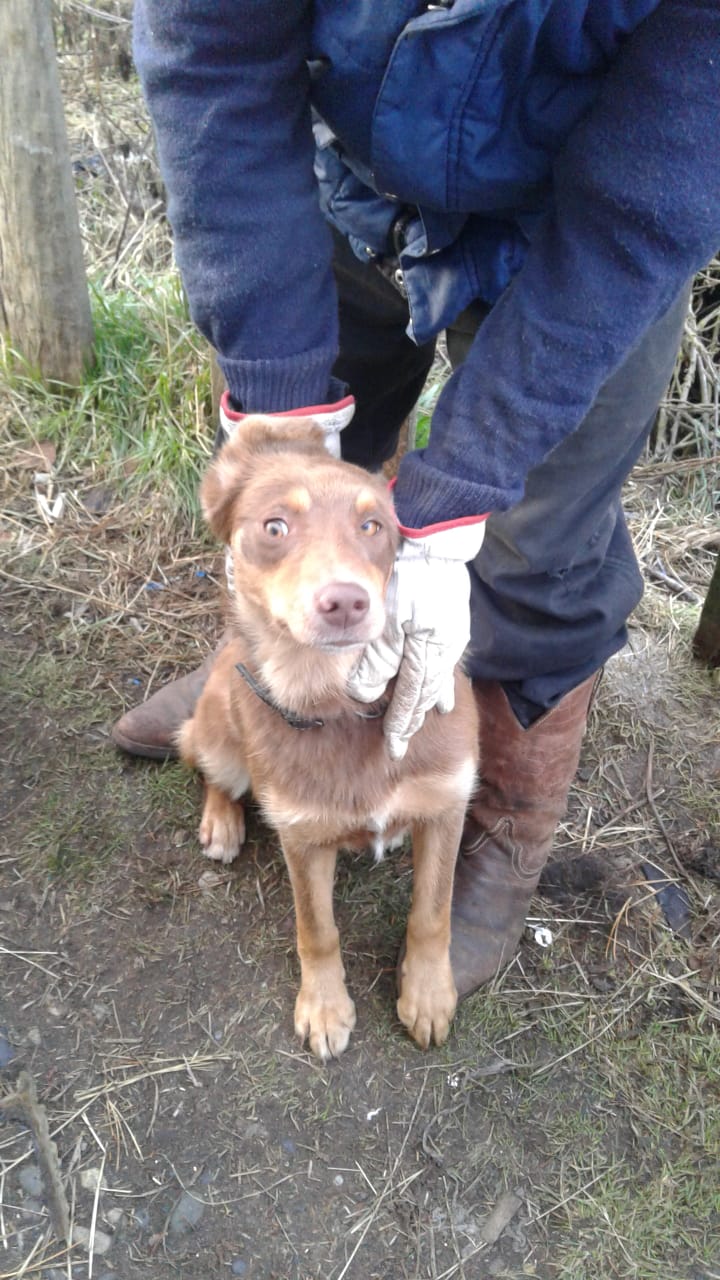 WhatsApp Image 2018-07-26 at 12.46.01 PM.jpeg