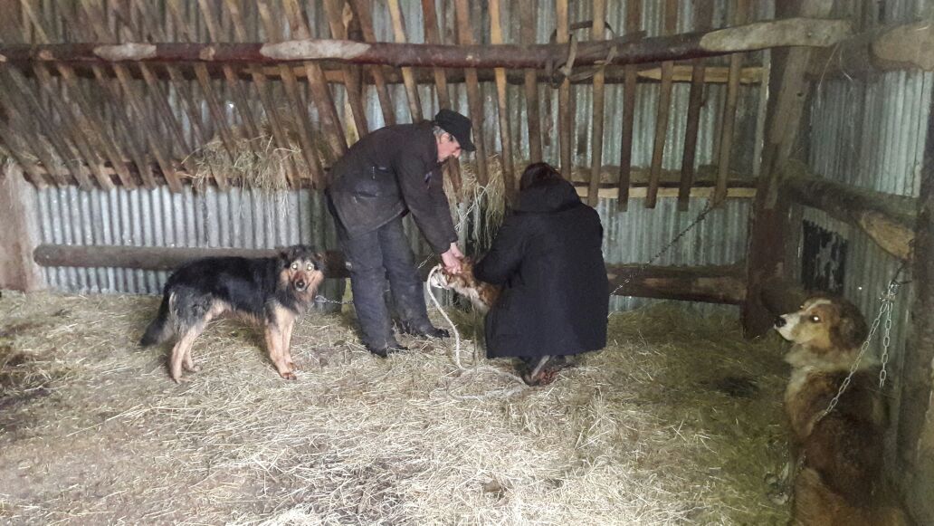 WhatsApp Image 2018-07-26 at 12.46.05 PM(1).jpeg